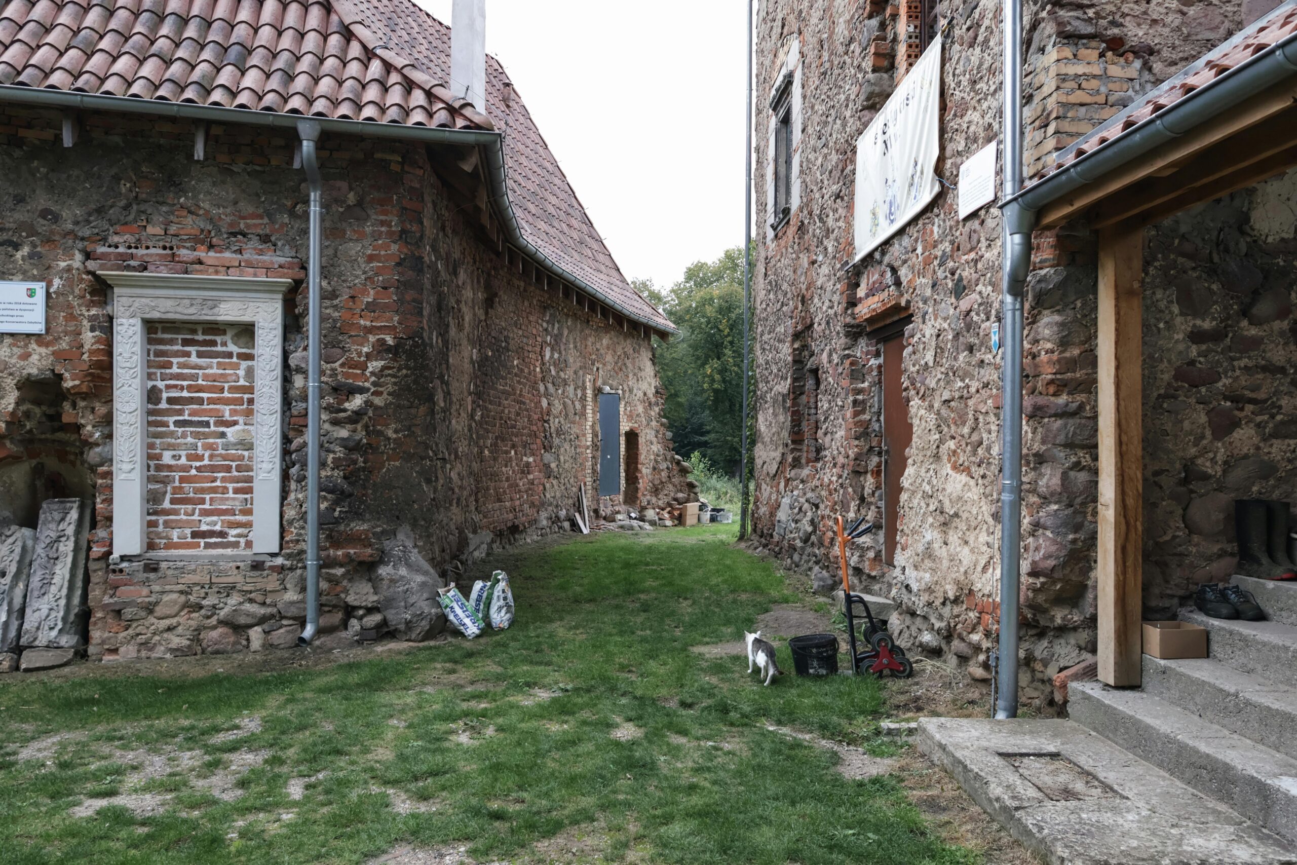 Jak poprawnie przeprowadzić renowację starego trawnika